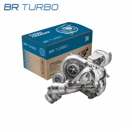 Gereviseerde turbocompressor  | 10009880019RS