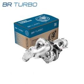 Gereviseerde turbocompressor  | 10009880166RS