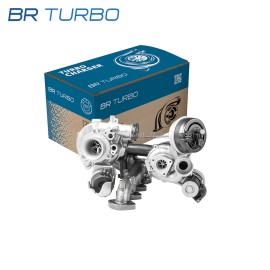 Gereviseerde turbocompressor  | 10009880257RS