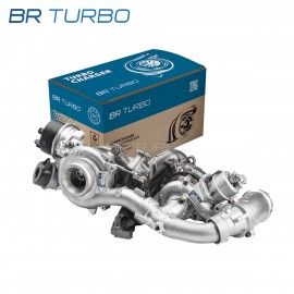 Gereviseerde turbocompressor  | 10009880286RS