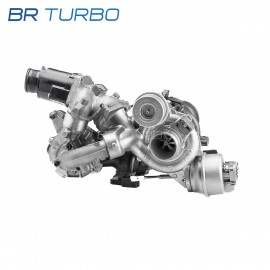 Gereviseerde turbocompressor  | 10009930113RS