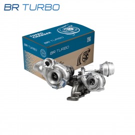 Gereviseerde turbocompressor  | 10009980164RS