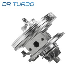 C.h.r.a.  | BRX15557