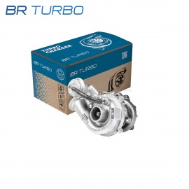 Gereviseerde turbocompressor  | 53049880006RS